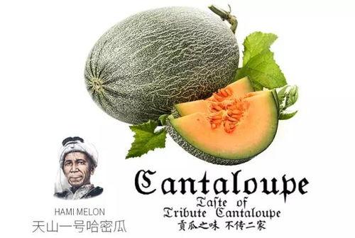 娱乐吃瓜设计理念是什么,揭秘娱乐圈幕后故事,带你领略趣味横生的娱乐圈生态